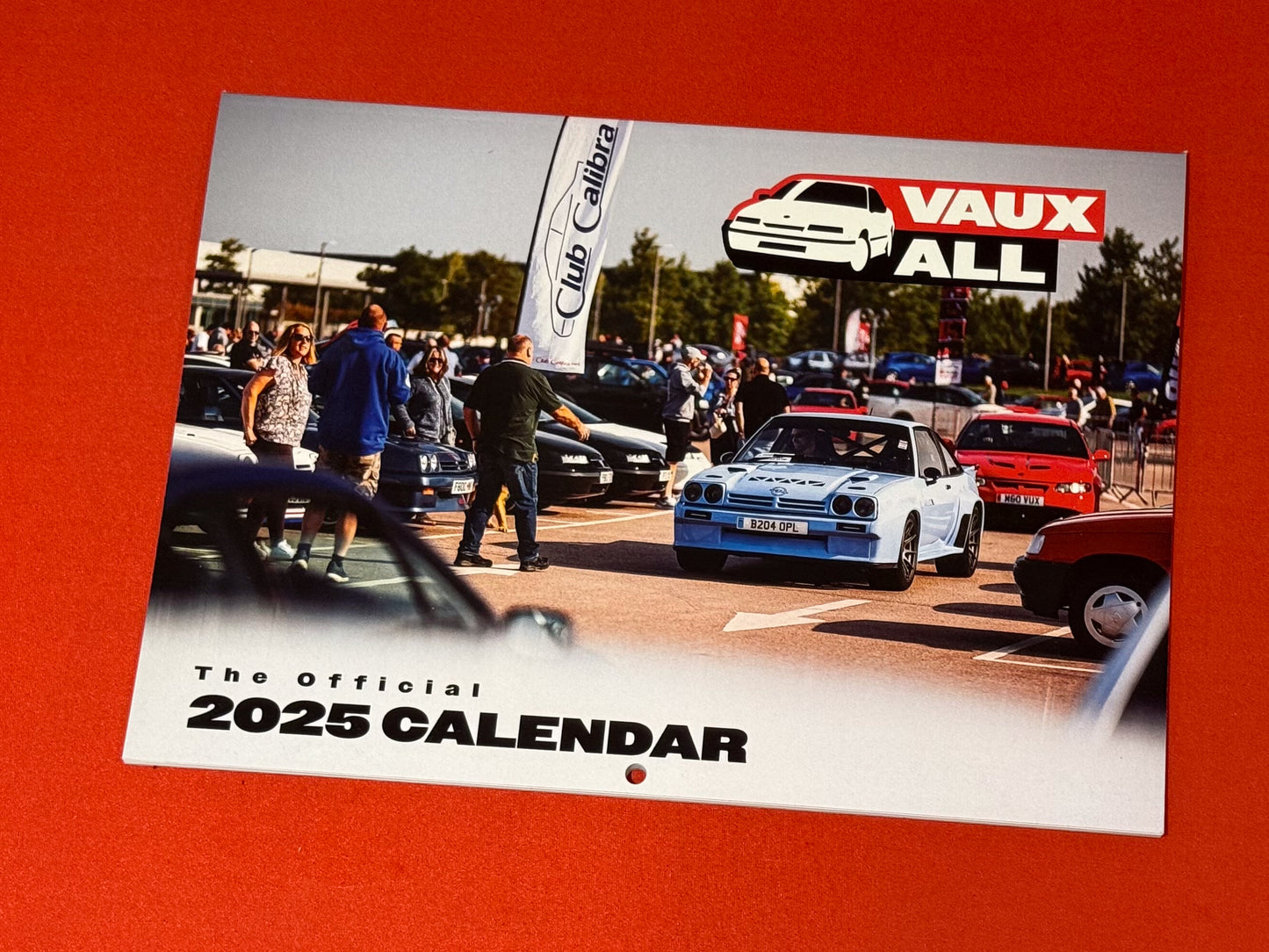 2025 VauxALL Wall Calendar - Official